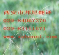 提供各小語種翻譯服務(wù) 價(jià)格、廠家與一站式解決方案